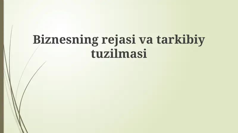 Biznesning reja va tashkiliy tuzilma