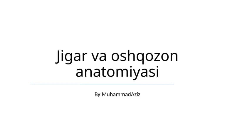 Jigar va oshqozon anatomiyasi