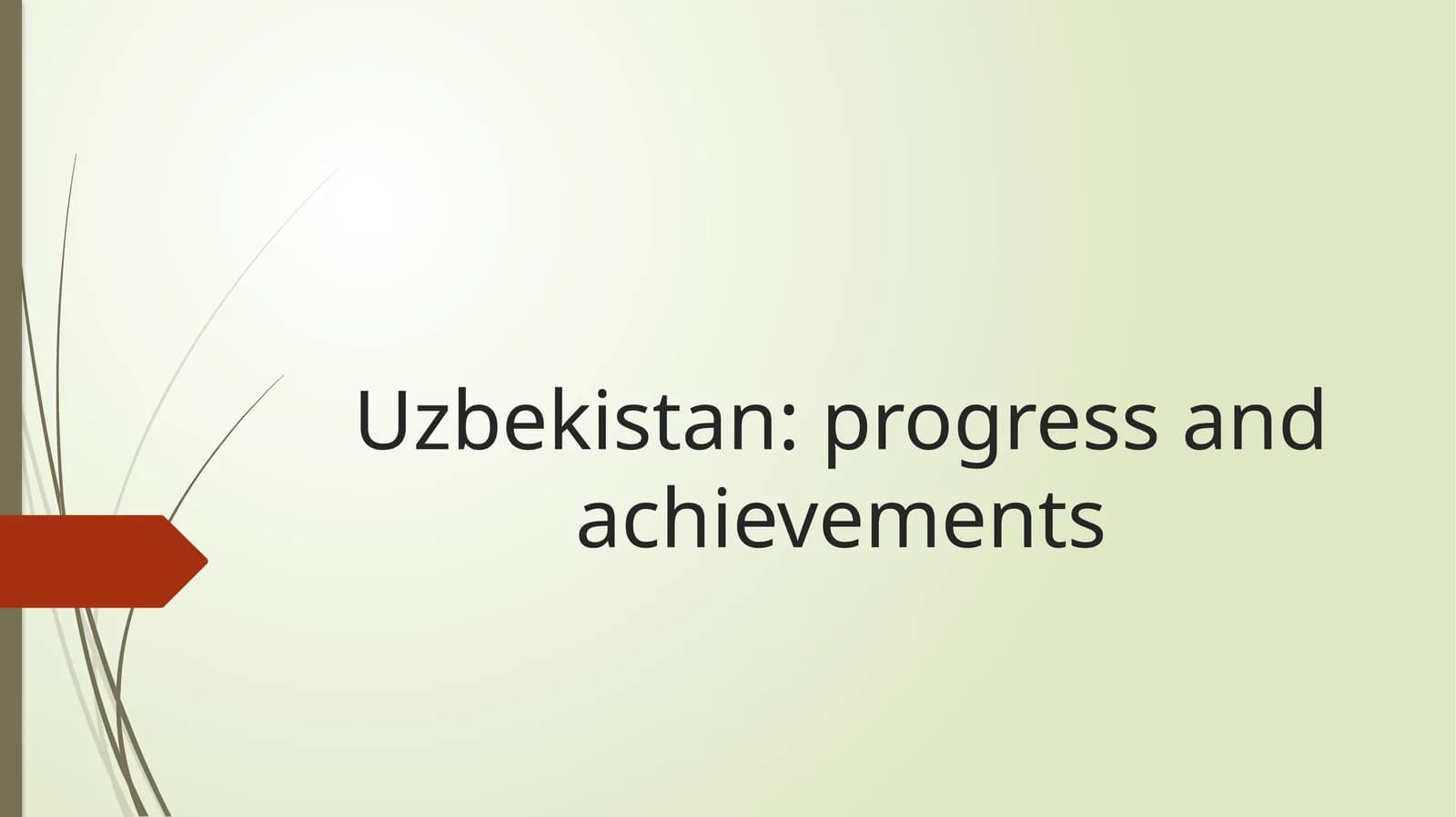 Uzbekistan: progress and achievements