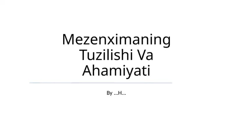 Mezenximaning Tuzilishi Va Ahamiyati