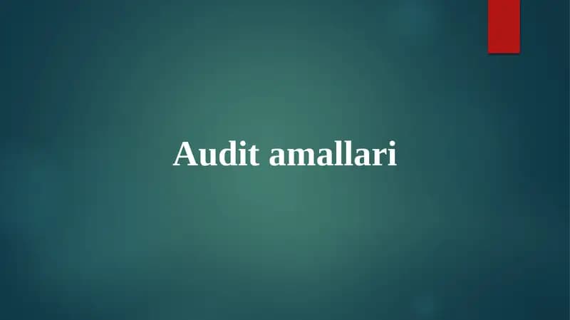 Audit amallari