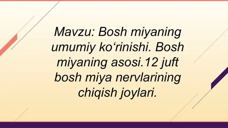Bosh miya / Ensefalon