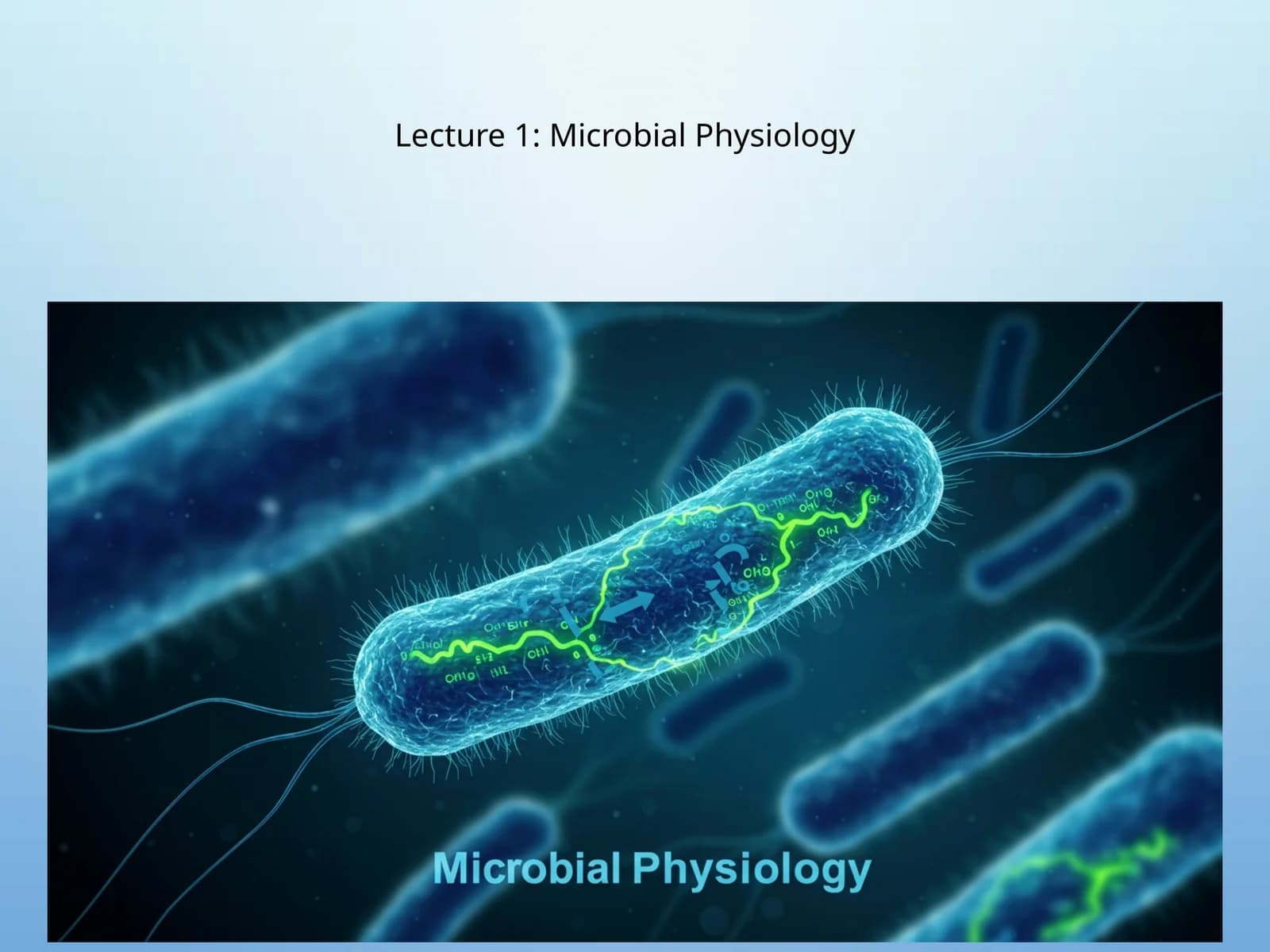 Mikrobiologik fiziologiya