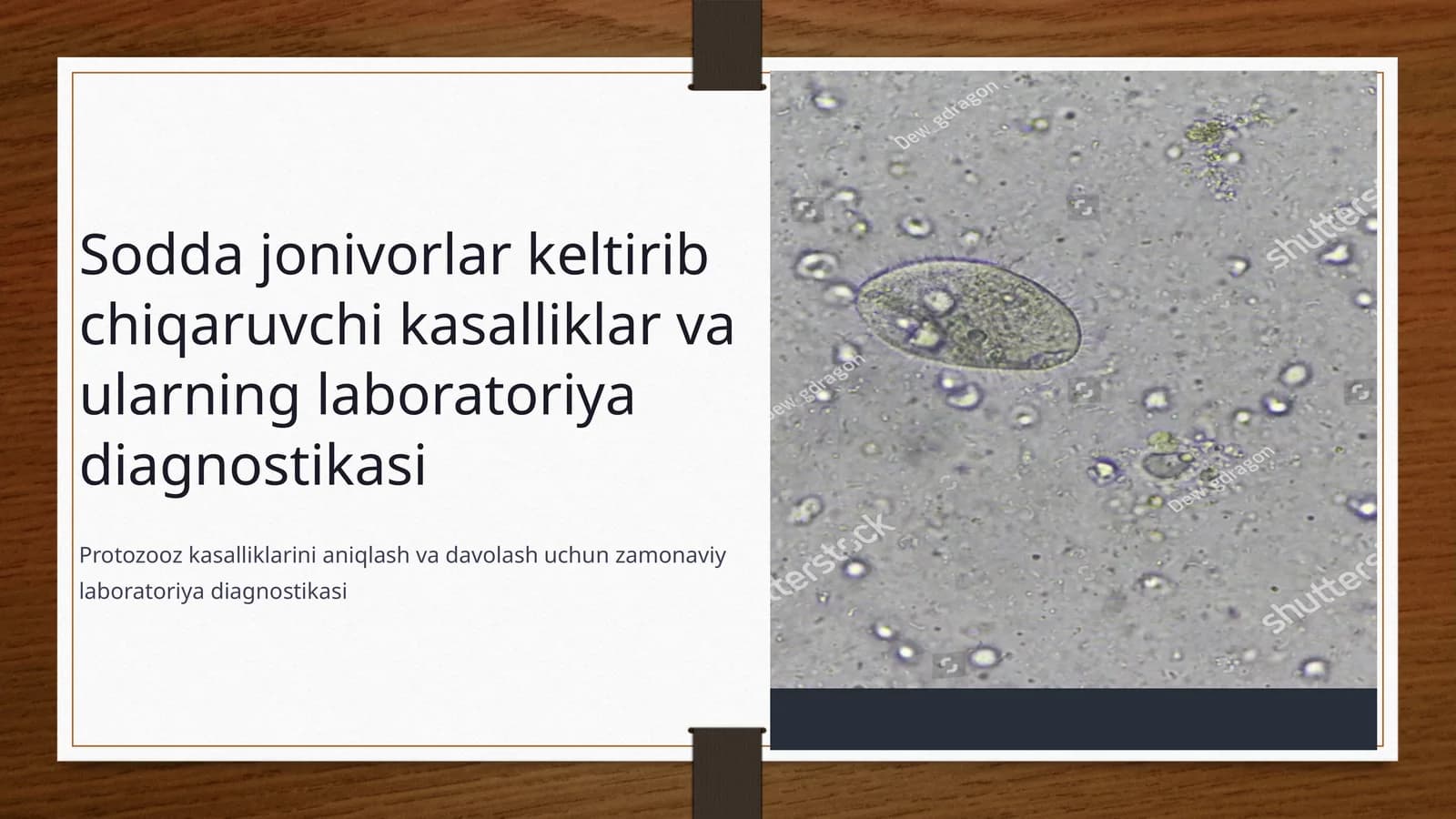 Sodda jonivorlar keltirib chiqaruvchi kasalliklar va ularning laboratoriya diagnostikasi