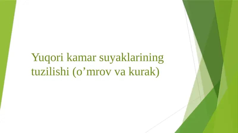Yuqori kamarsuyaklarining tuzilishi(o’mrov va kurak)