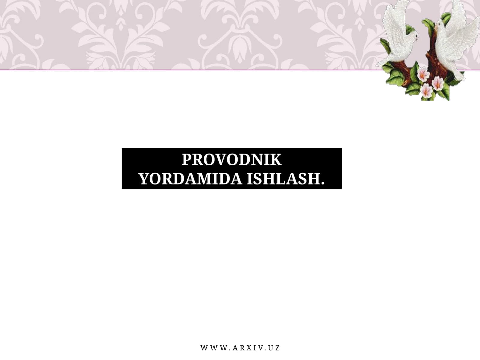 Provodnik Yordamida Ishlash