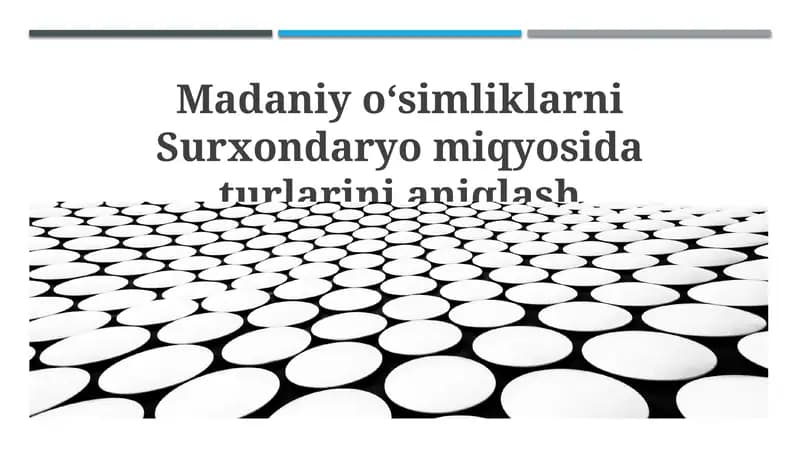 Surxondaryo viloyatida o'simlik turlarini aniqlash