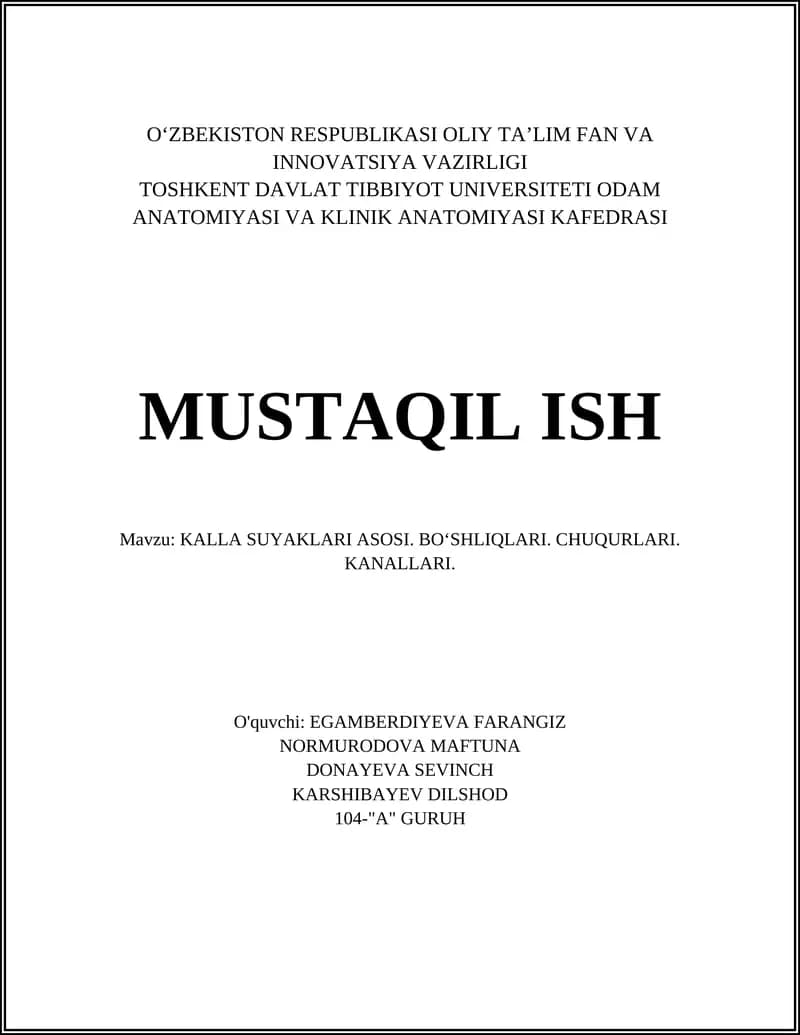 KALLA SUYAKLARI ASOSI. BOʻSHLIQLARI. CHUQURLARI. KANALLARI