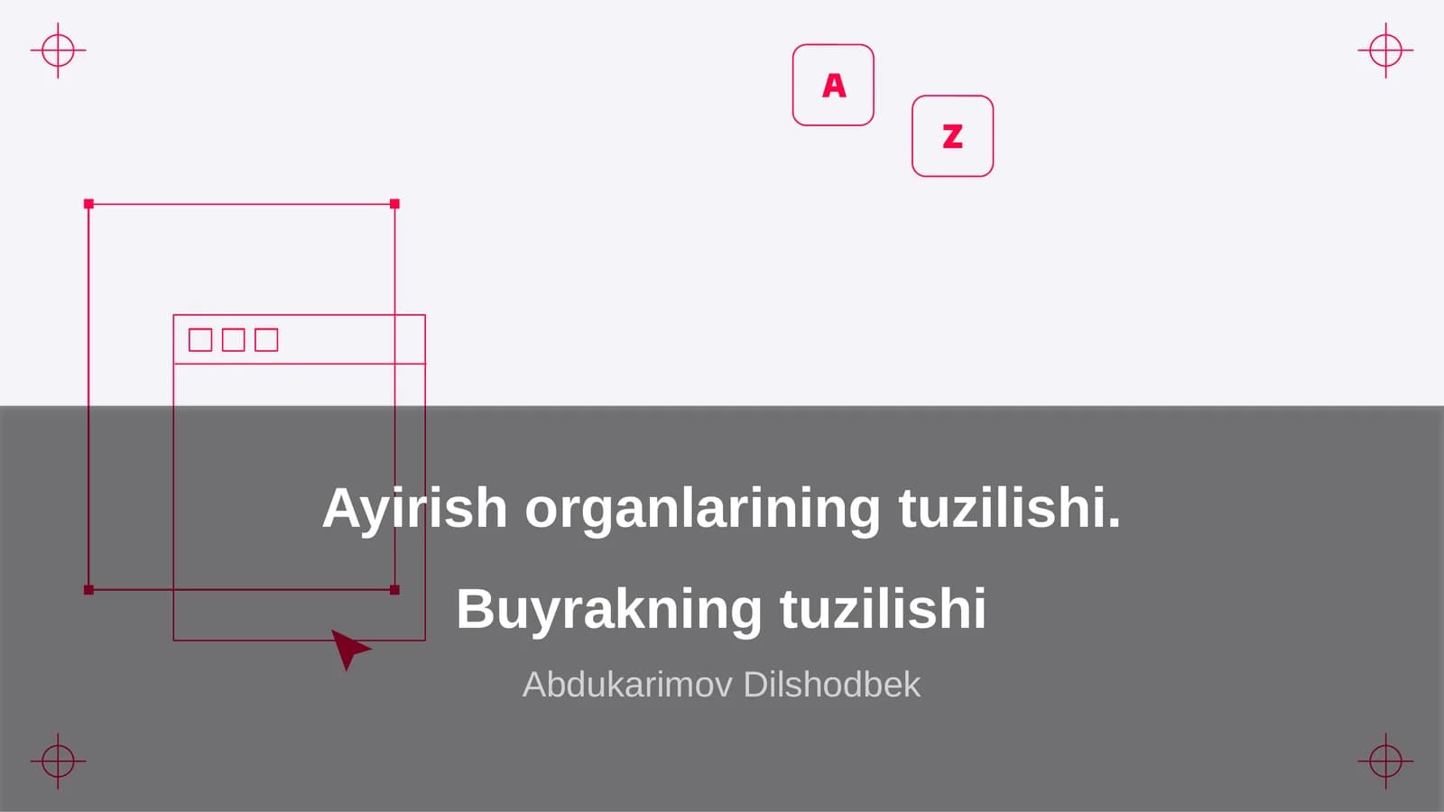 Ayirish organlarining tuzilishi. Buyrakning tuzilishi