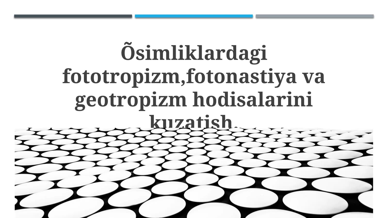 Fototropizm, Fotonastiya va Geotropizm: Ta'riflar va Mexanizmlar