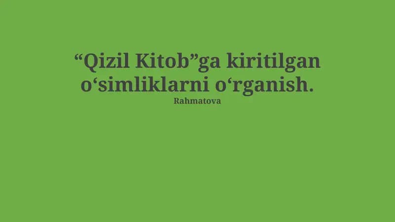 Qizil Kitob