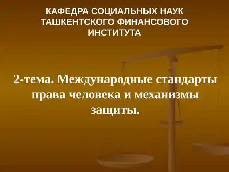 Международные стандарты права человека и механизмы защиты