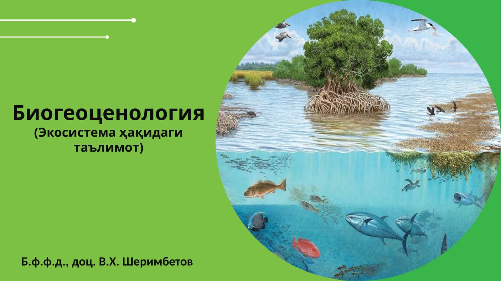 Биогеоценология(Экосистема ҳақидаги таълимот)