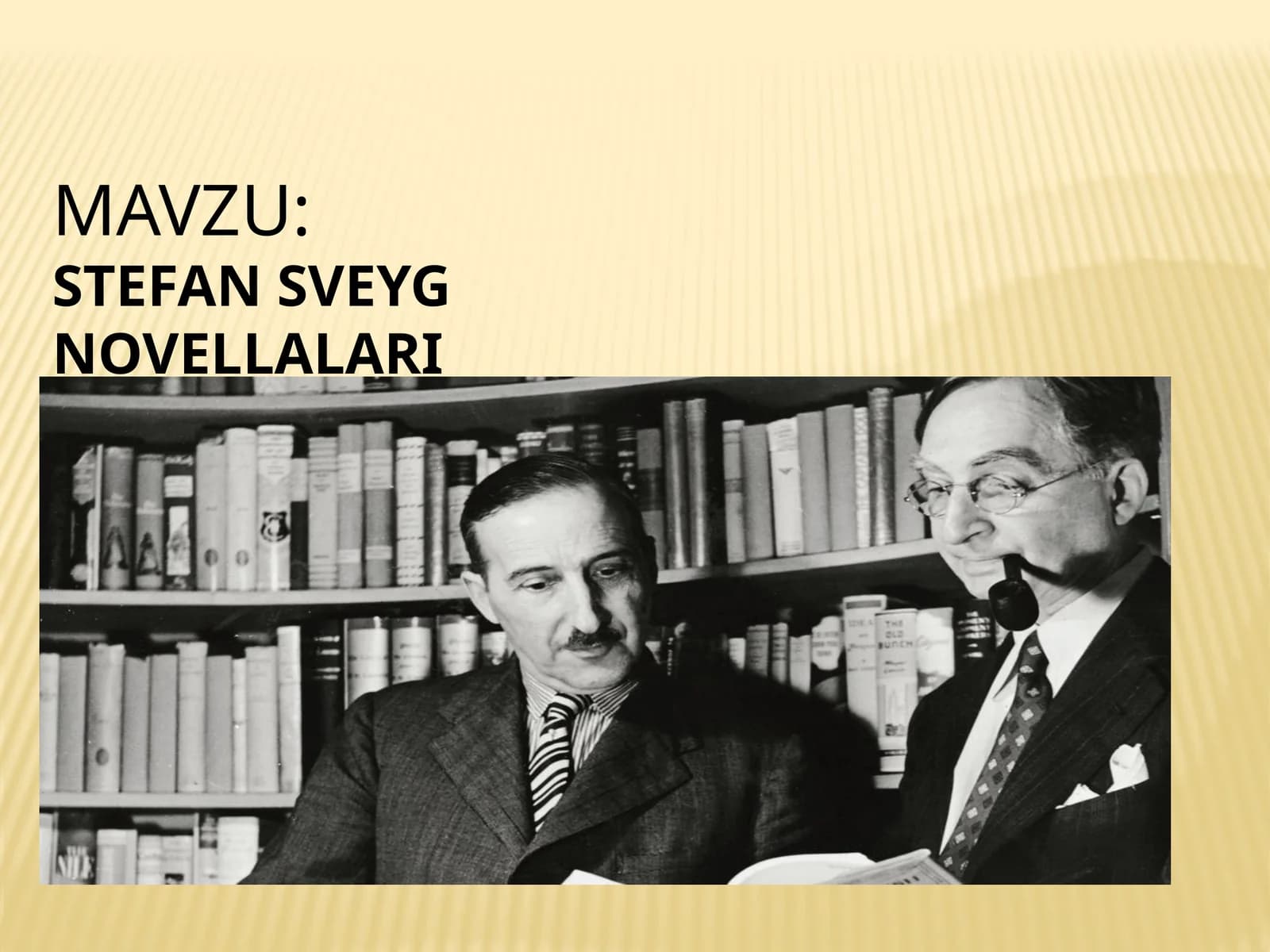 STEFAN SVEYG NOVELLALARI