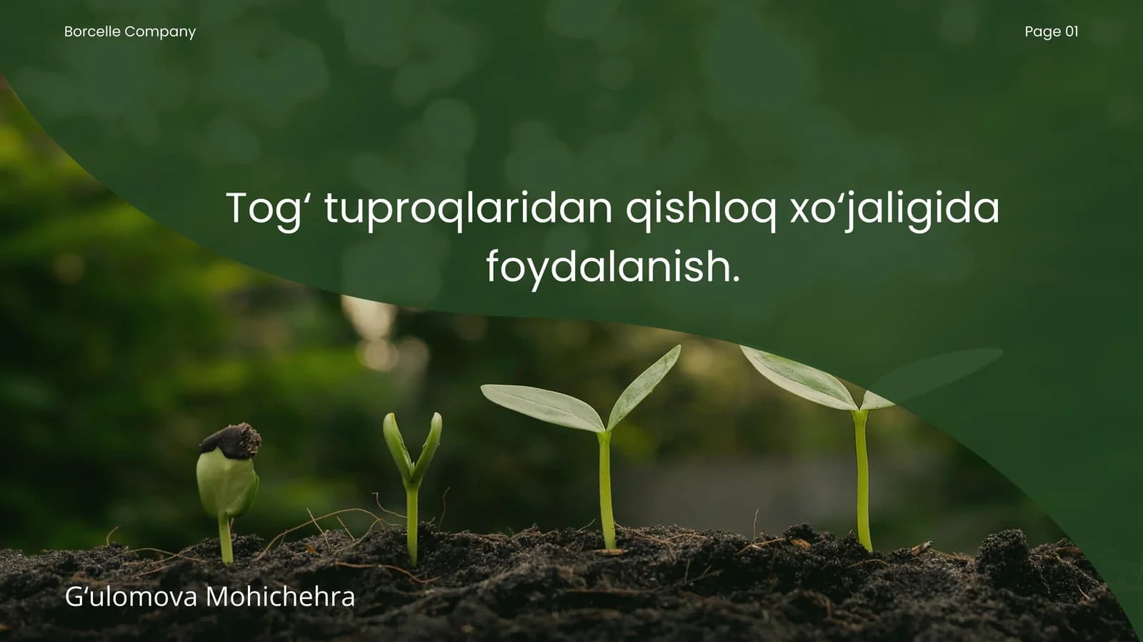 Tog‘ tuproqlaridan qishloq xo‘jaligida foydalanish