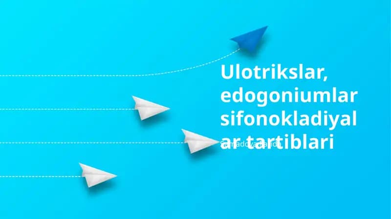 Ulotrikslar, edogoniumlar sifonokladiyalar tartiblari