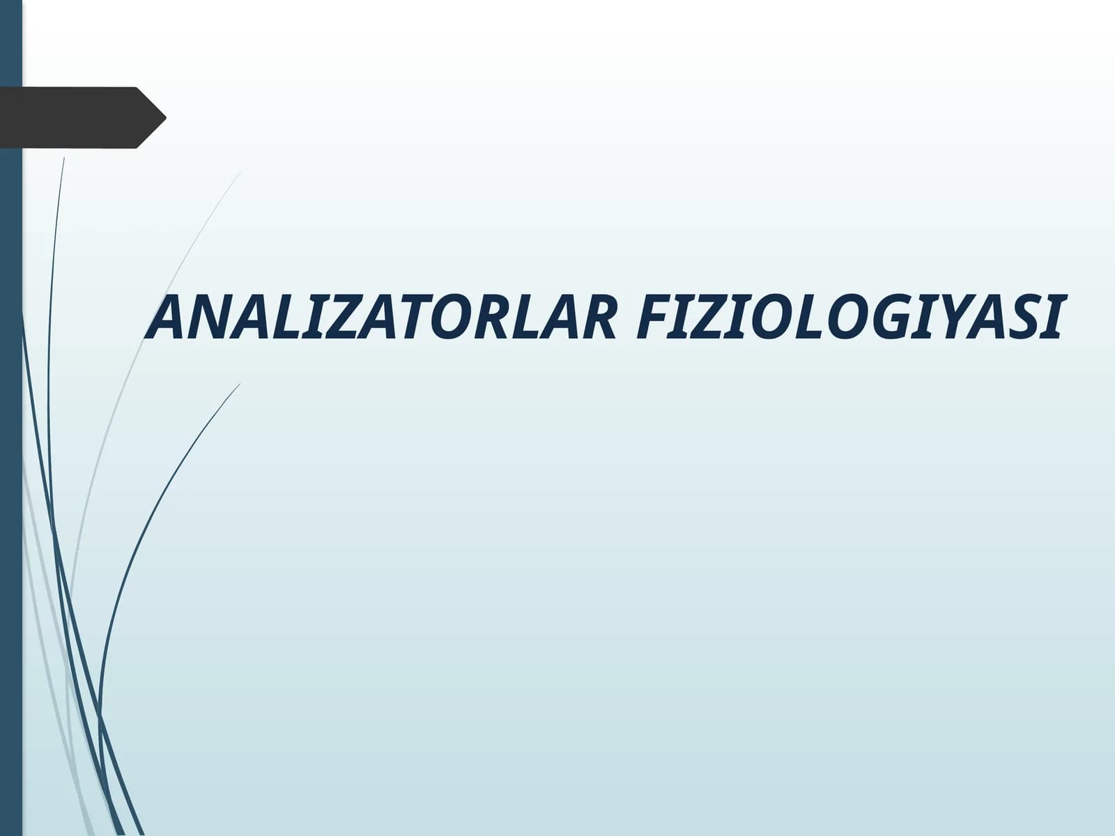 ANALIZATORLAR FIZIOLOGIYASI