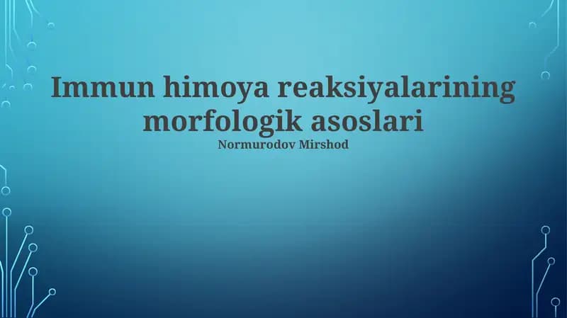 Suyak koʻmigining morfologik asoslari
