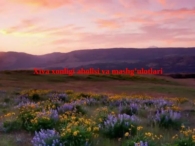 Xivaxonligiaholisivamashg’ulotlari