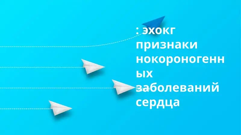Эхокардиографические признаки нокороногенных заболеваний сердца