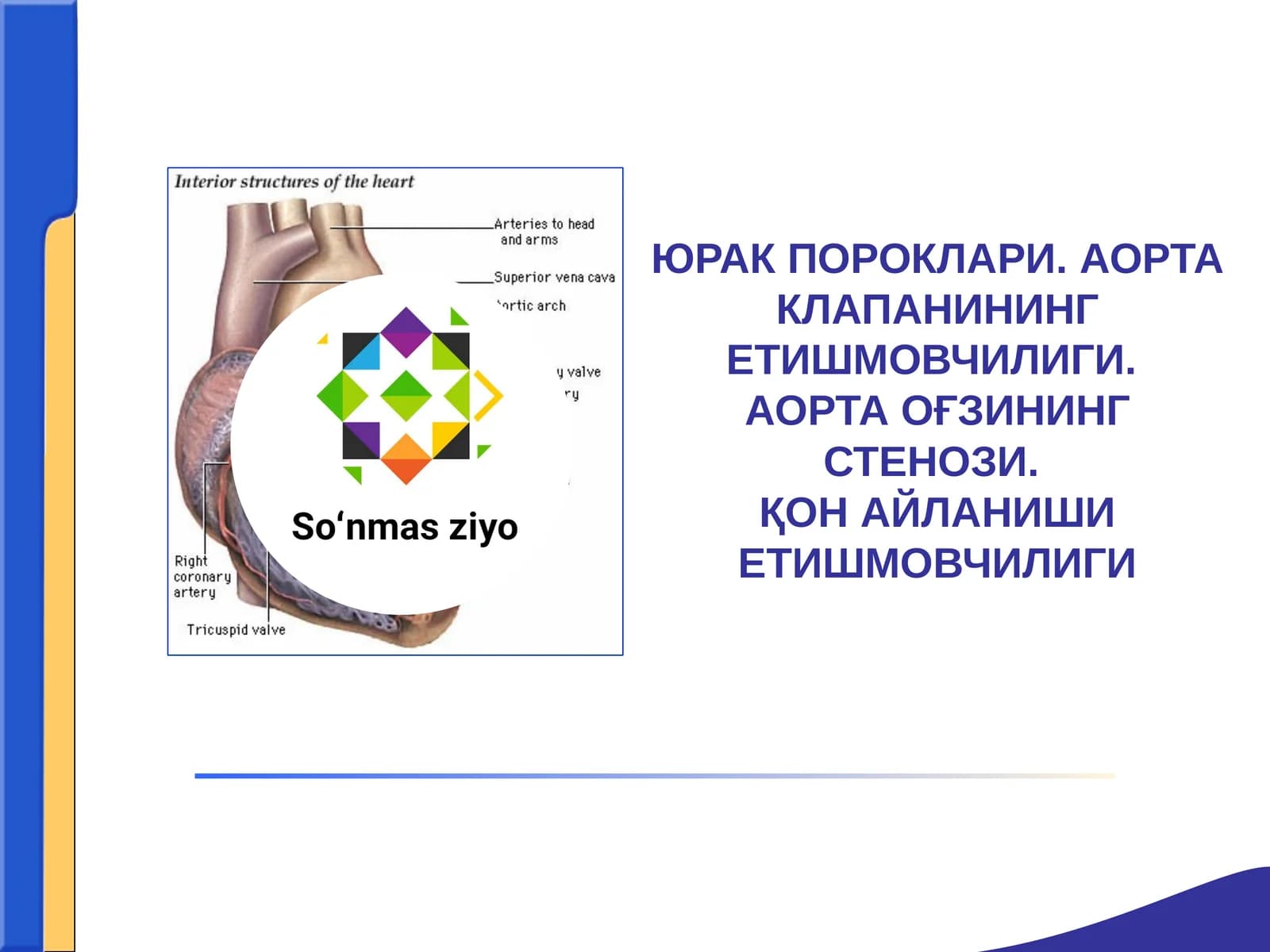 ЮРАК ПОРОКЛАРИ. АОРТА КЛАПАНИНИНГ ЕТИШМОВЧИЛИГИ.АОРТА ОҒЗИНИНГ СТЕНОЗИ.ҚОН АЙЛАНИШИ ЕТИШМОВЧИЛИГИ