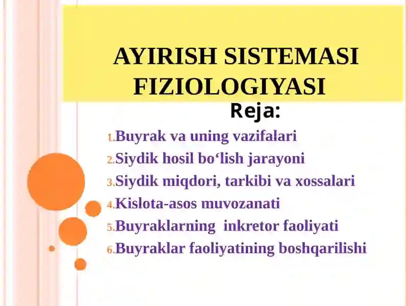 Ayirish Sistemasi Fiziologiyasi