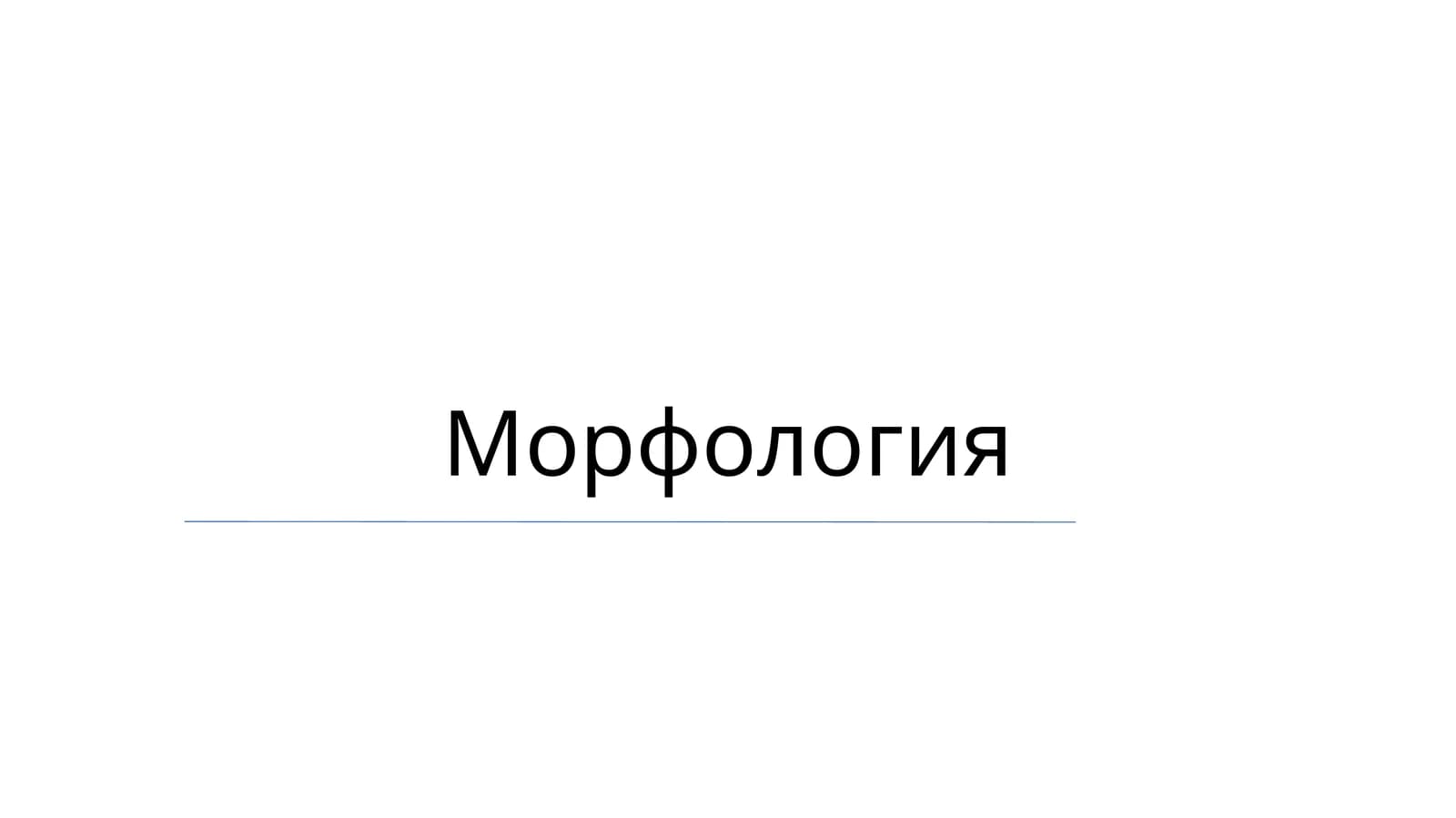 Морфология