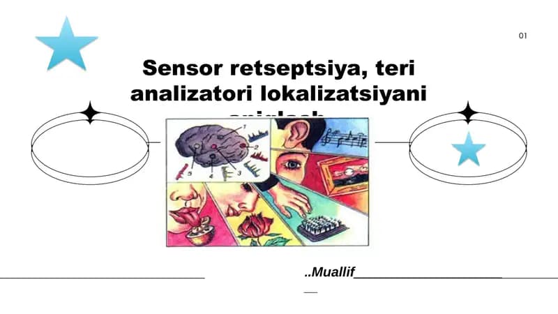 Sensor retseptsiya, teri analizatori lokalizatsiyani aniqlash