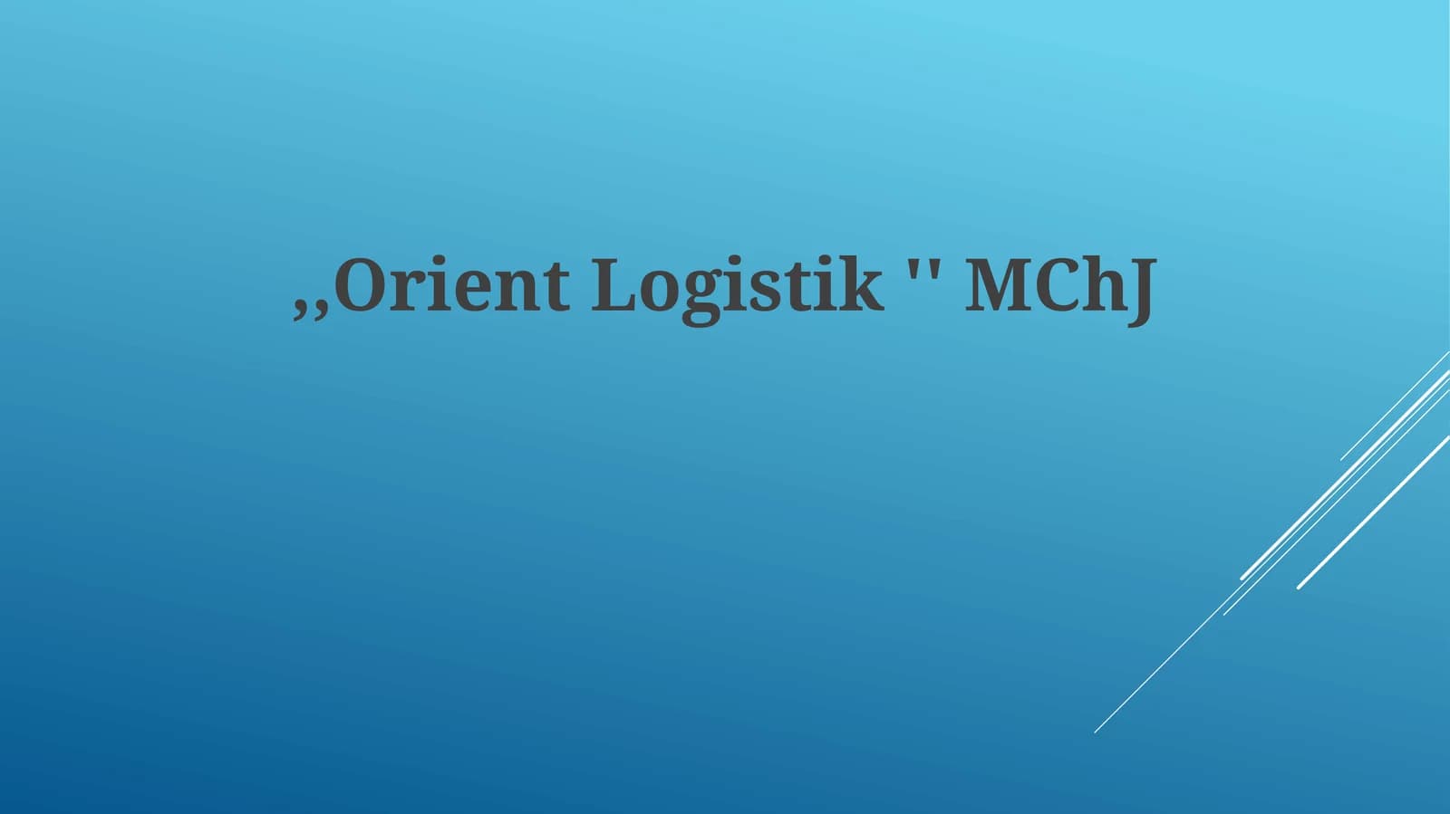 Orient Logistik MChJ