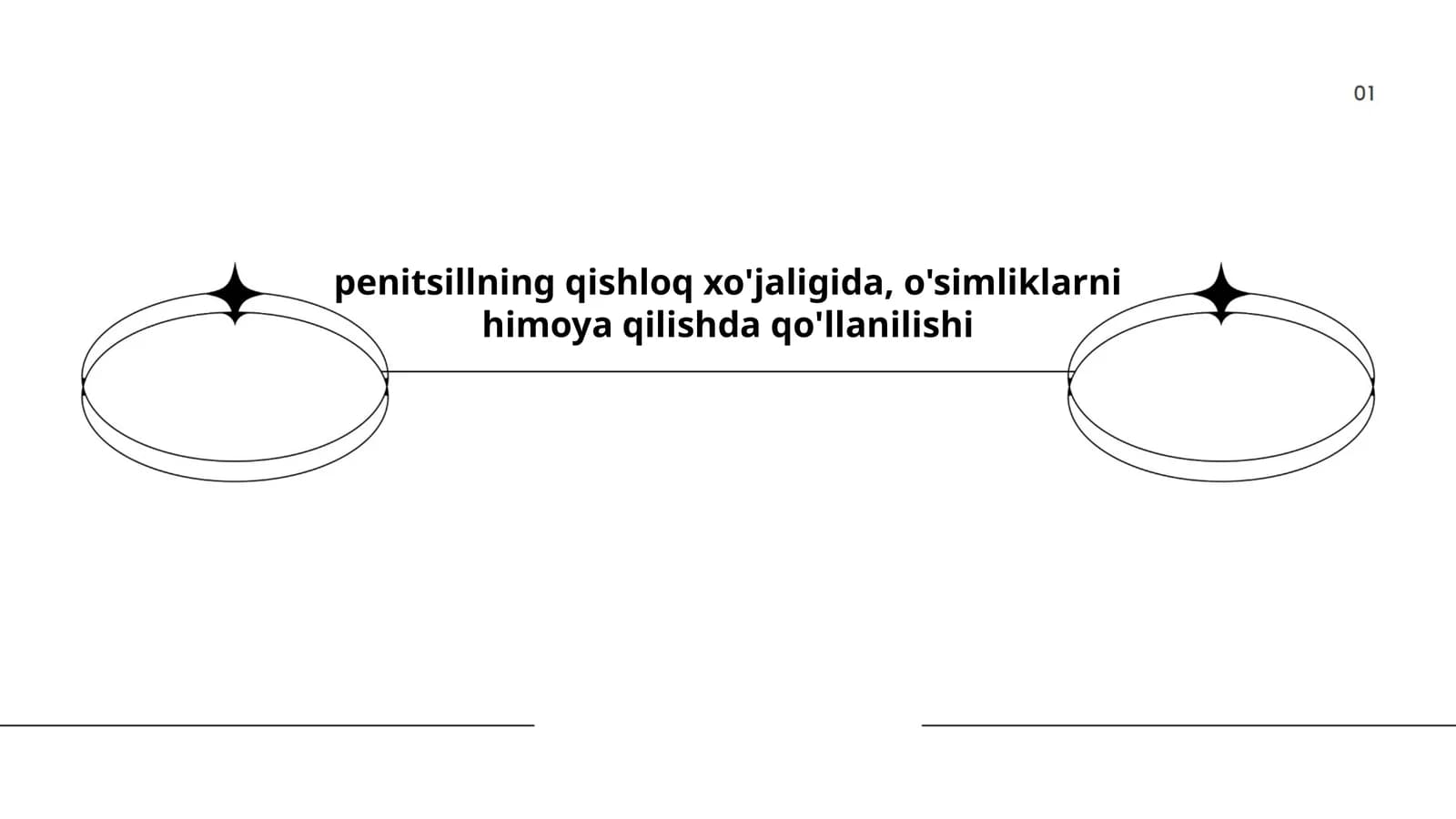 penitsillning qishloq xo'jaligida, o'simliklarni himoya qilishda qo'llanilishi
