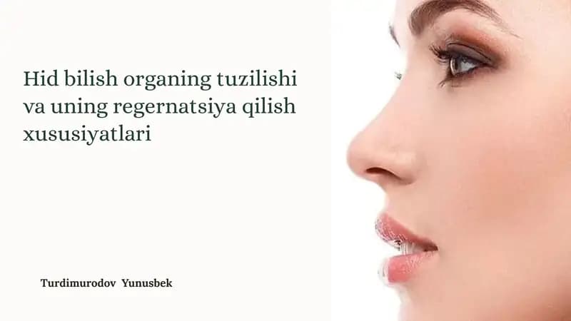 Hidbilish organining tuzilishi va uning regeneratsiya qilish xususiyatlari