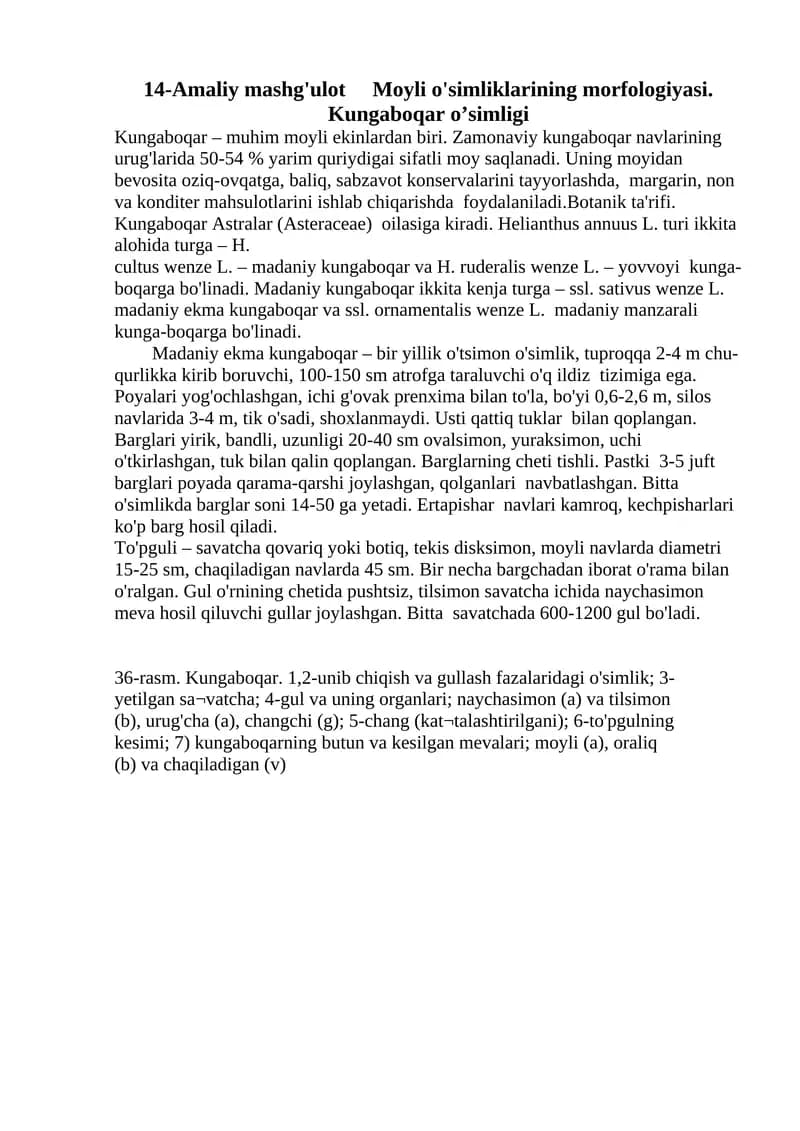14-Amaliy mashg'ulot Moyli o'simliklarining morfologiyasi. Kungaboqar o’simligi
