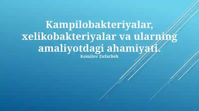 Kampilobakteriyalar, xelikobakteriyalar va ularning amaliyotdagi ahamiyati