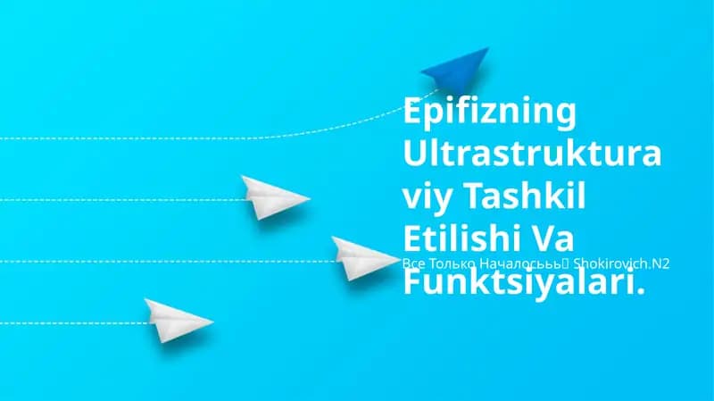 Epifizning Ultrastrukturaviy Tashkil Etilishi Va Funktsiyalari