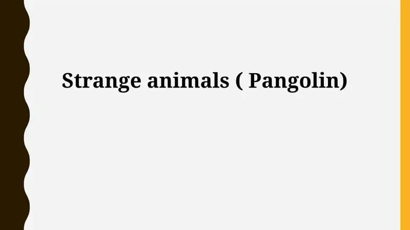 Pangolin