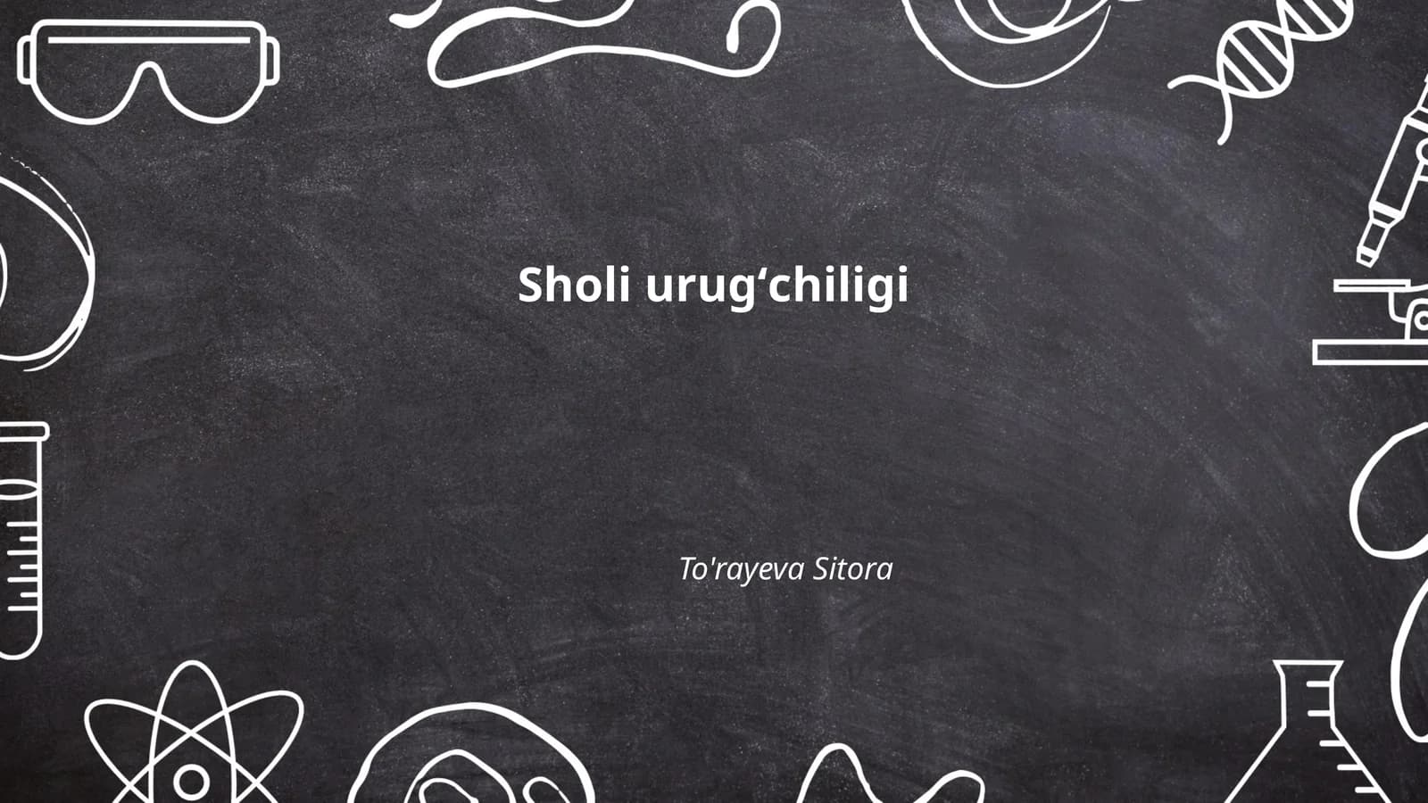 Sholi urugʻchiligi