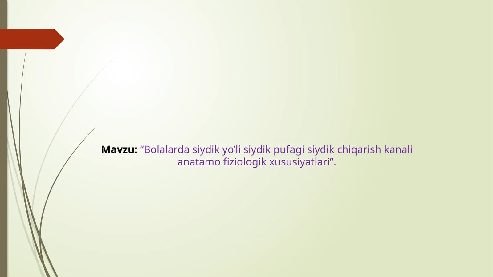 Bolalarda siydik yo’li siydik pufagi siydik chiqarish kanali anatamofiziologik xususiyatlari