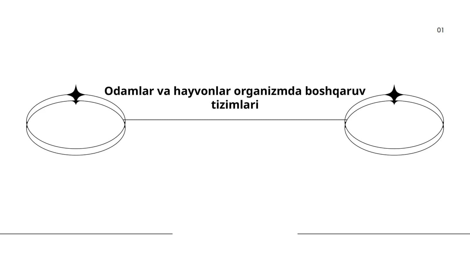 Odamlar va hayvonlar organizmda boshqaruv tizimlari