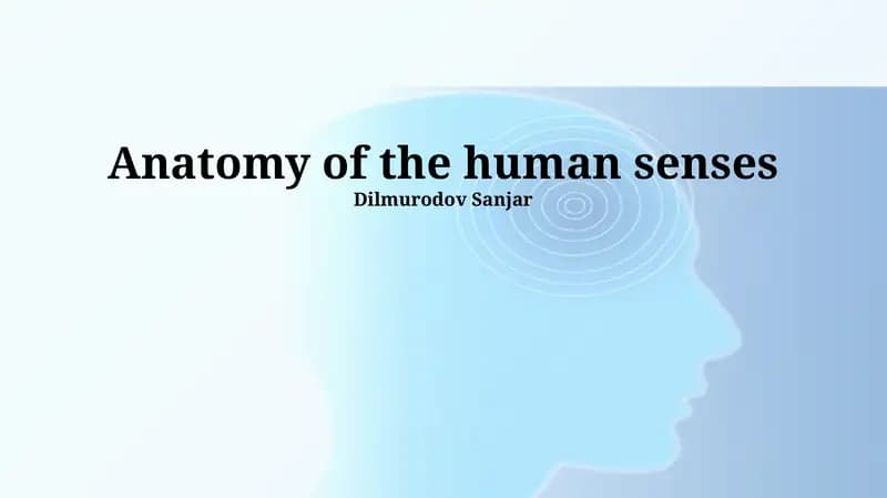 Anatomy of the human senses