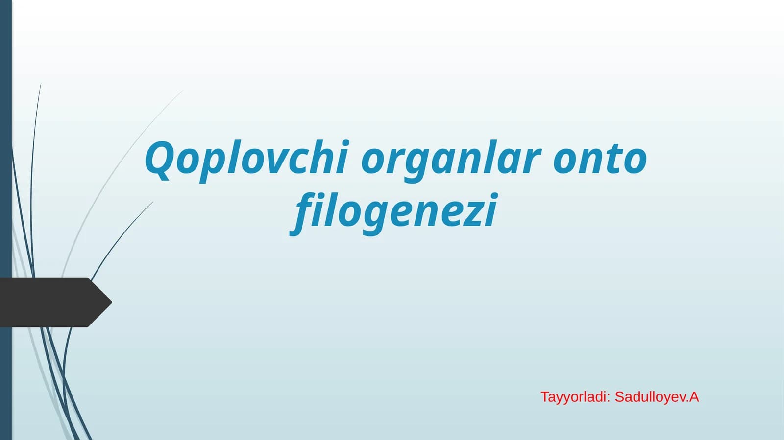 Qoplovchi organlar onto filogenezi.pptx