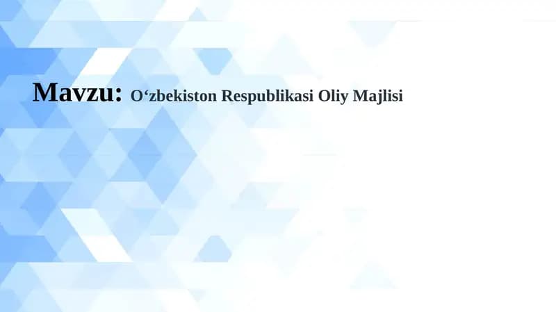 O‘zbekiston Respublikasi Oliy Majlisi