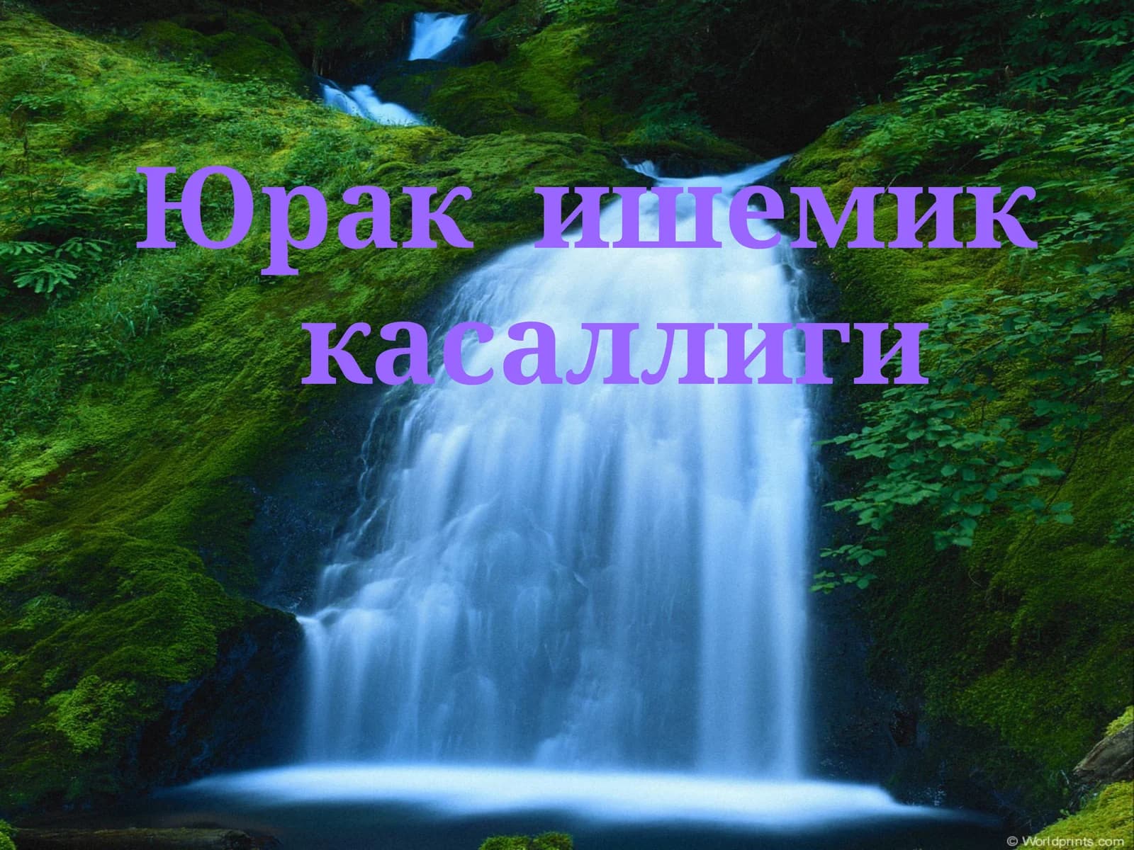 Юрак  ишемик   касаллиги
