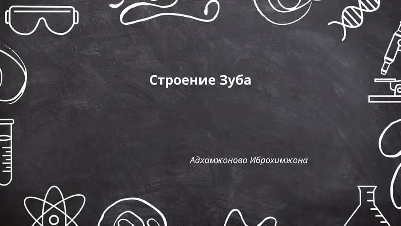 Строение Зуба