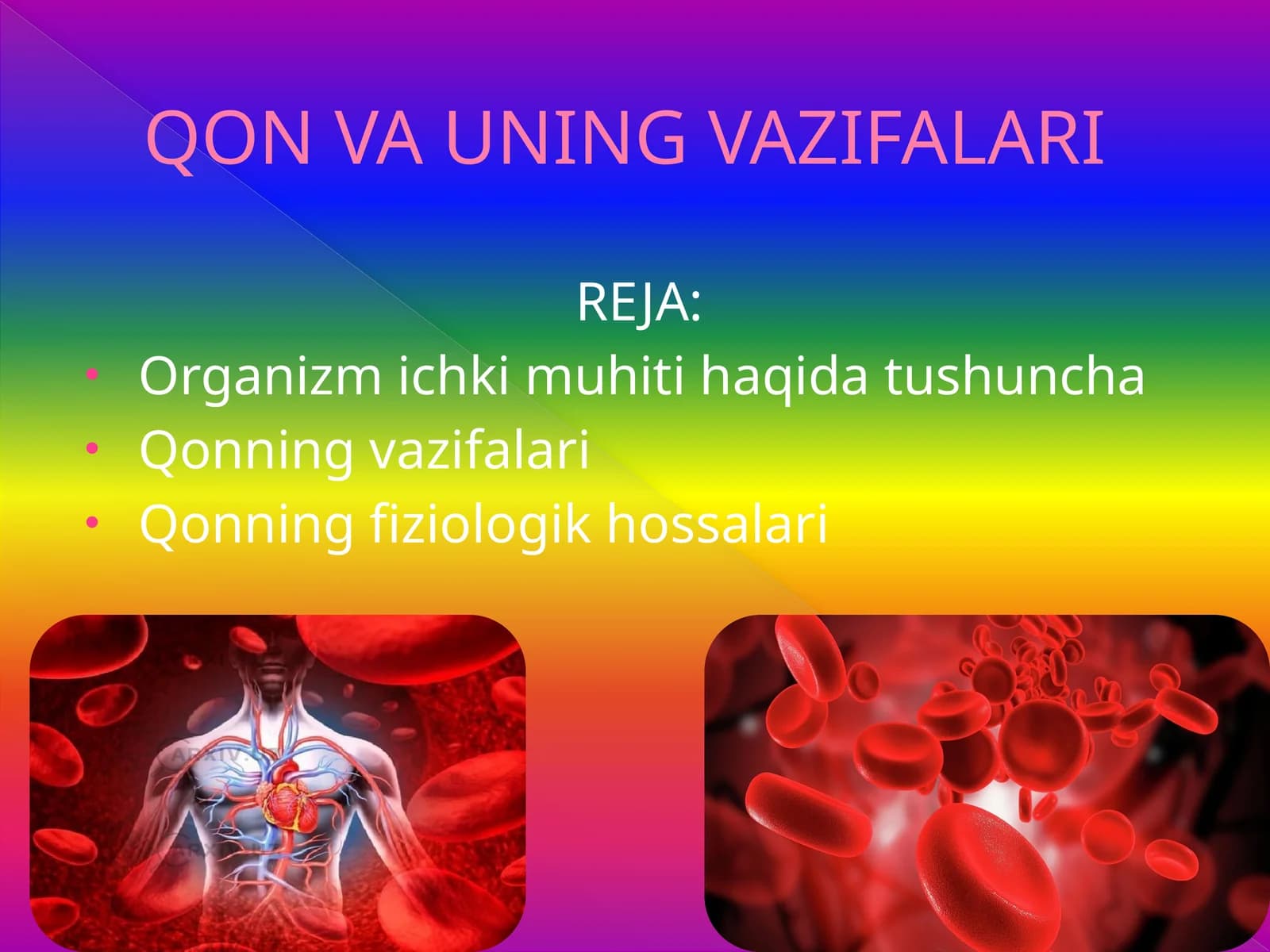 QON VA UNING VAZIFALARI