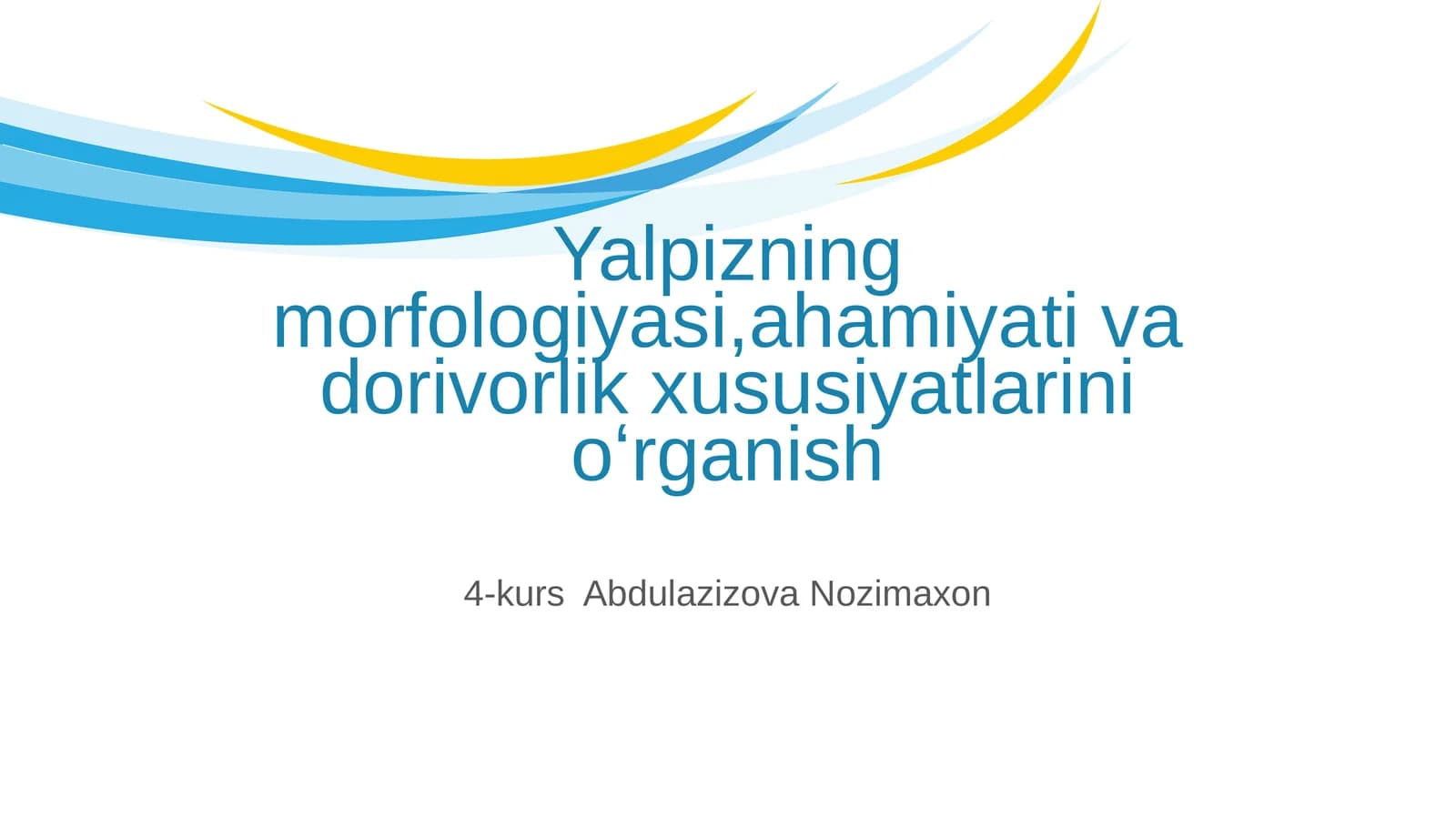 Yalpizning morfologiyasi,ahamiyati va dorivorlik xususiyatlarini oʻrganish