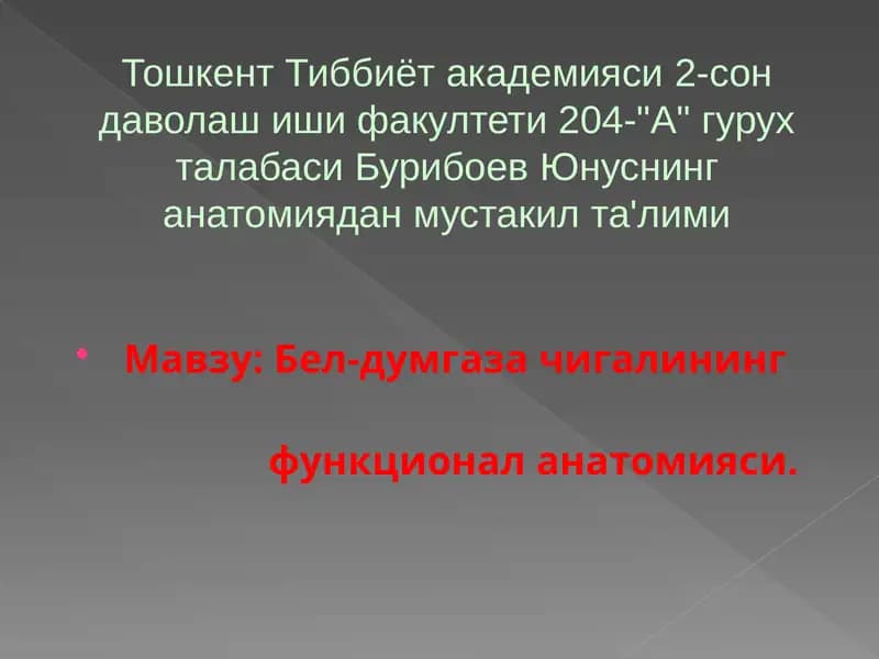Бел-думгаза чигалининг функционал анатомияси