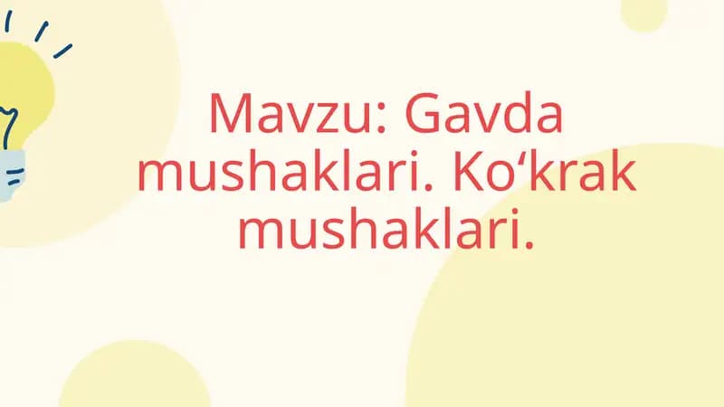 Gavda mushaklari. Ko‘krak mushaklari
