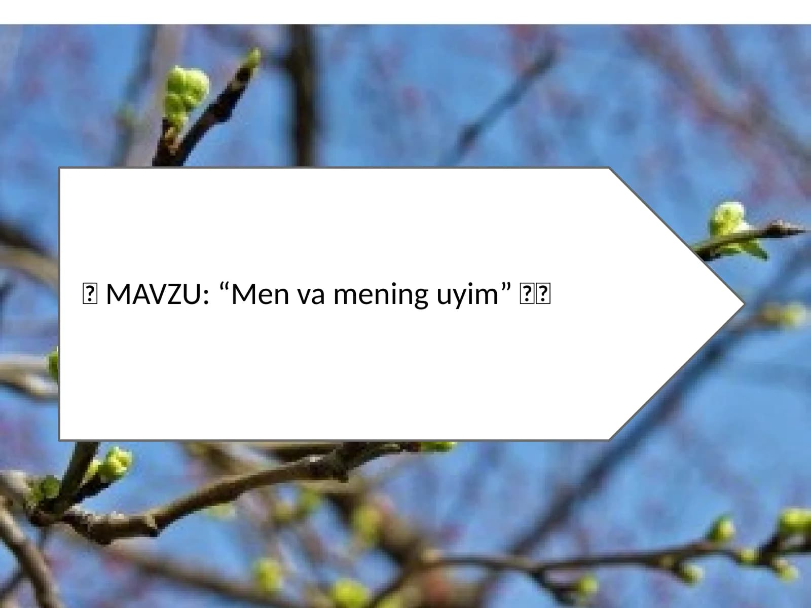 Men va mening uyim