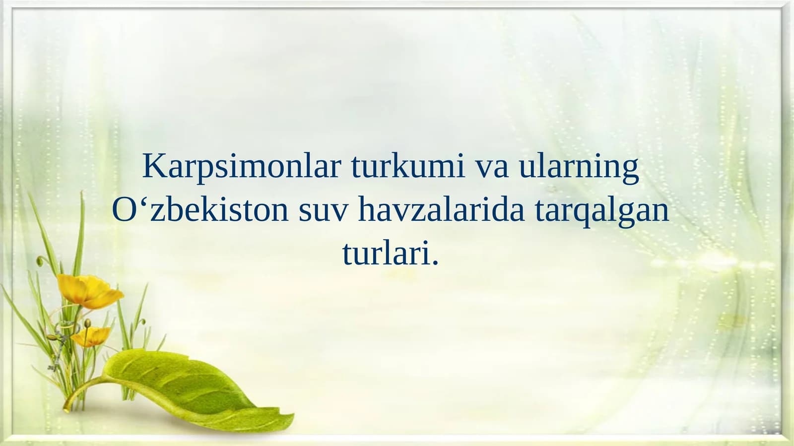 Karpsimonlar