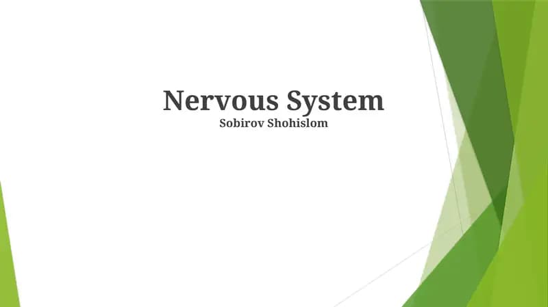 Nervous System